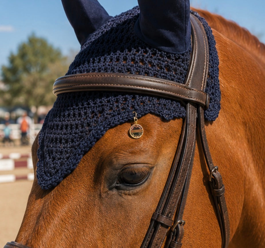 Porte bonheur SOUVENIR paillettes (avec les crins, poils ou plumes de votre animal)