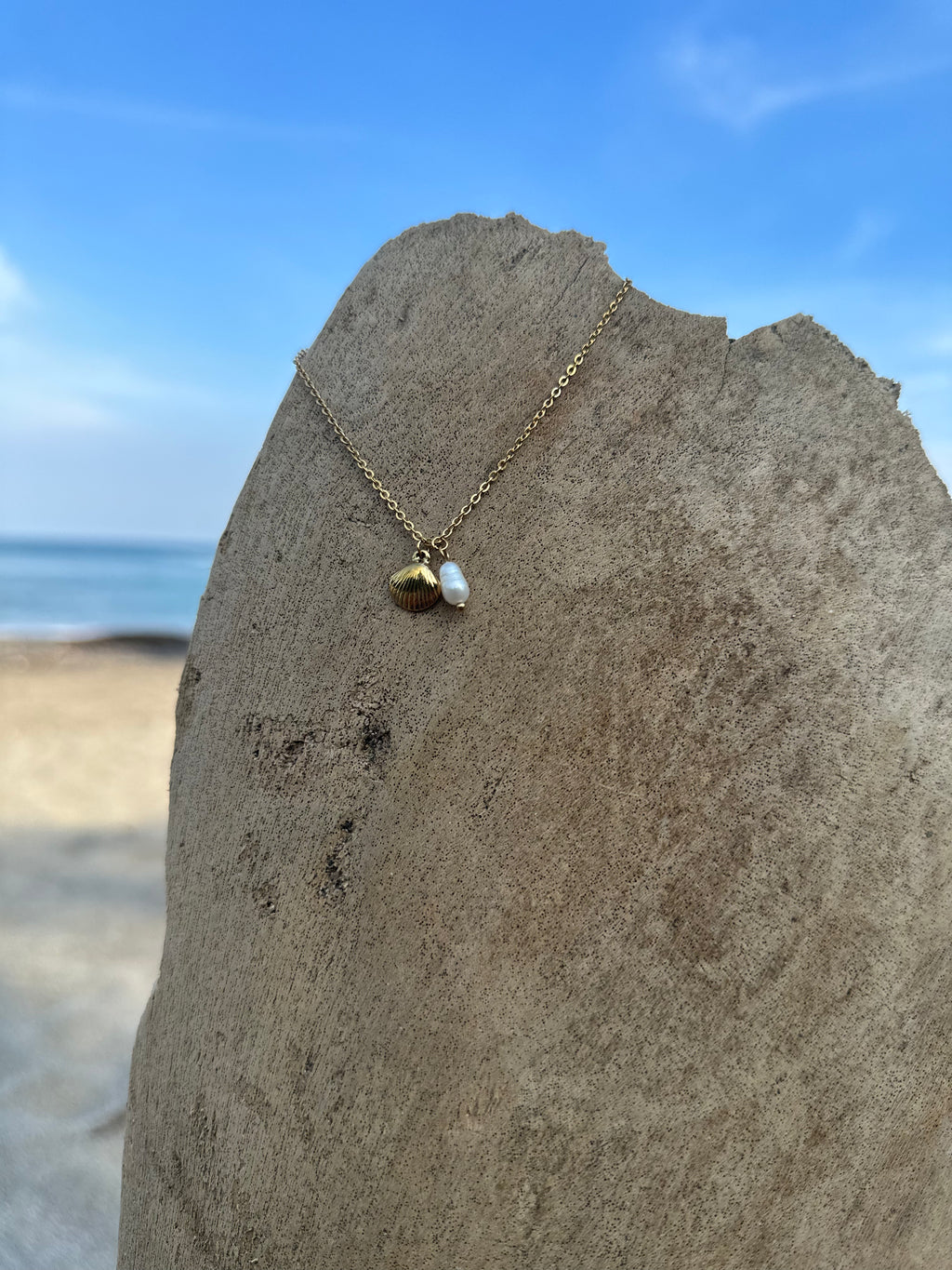 Bracelet cheville - Shell